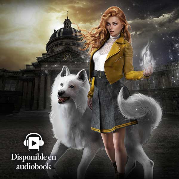 Magic Academy livres