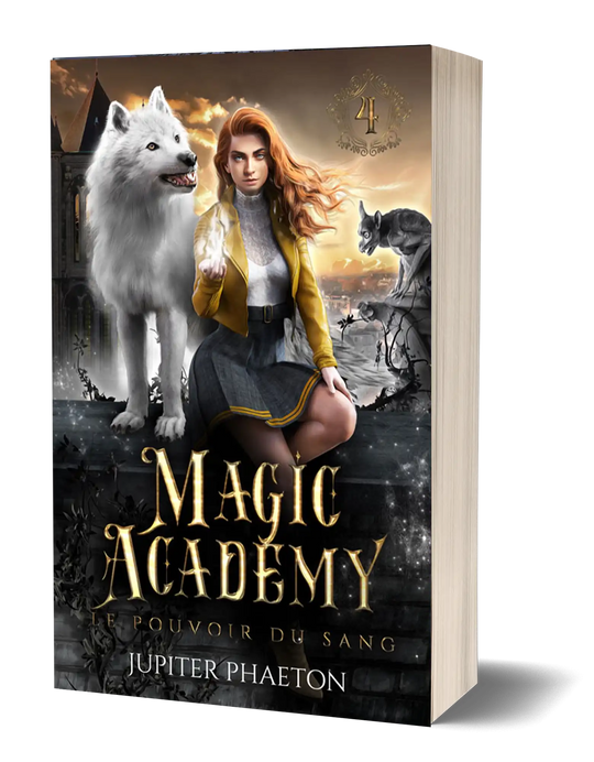 Magic Academy tome 4