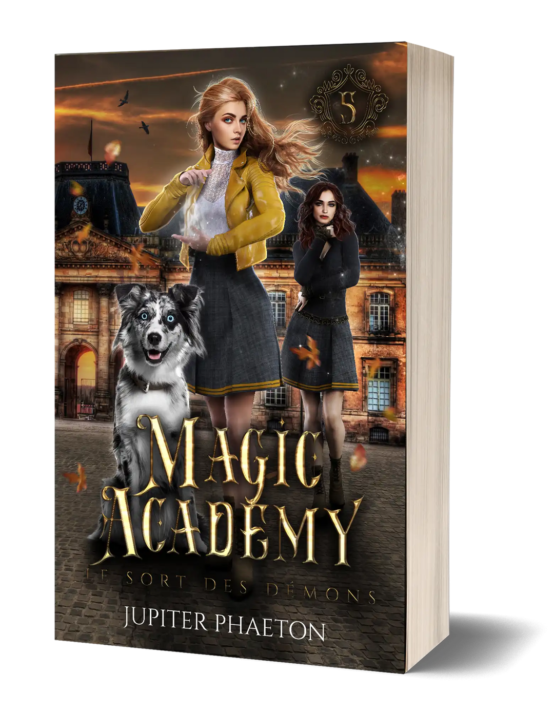 Magic Academy tome 5