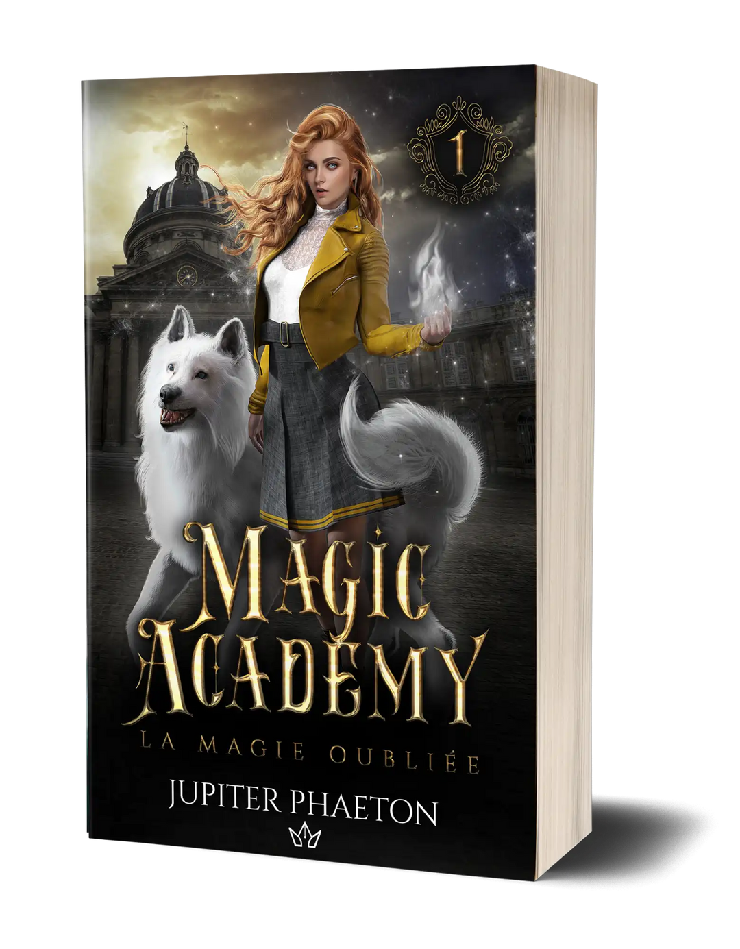 Magic Academy tome 1