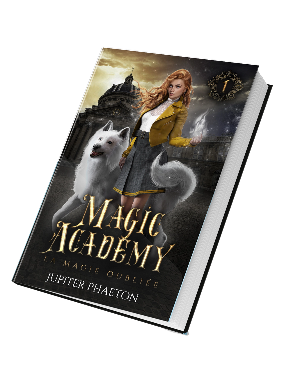 Magic Academy tome 1